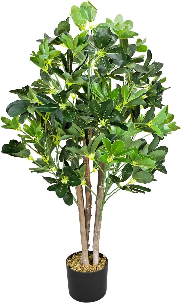 Schefflera Aralie Kunstplant Kunstboom Kunstmatige plant Schefflera Arboricola Stralingsaralie 95 cm met echt hout