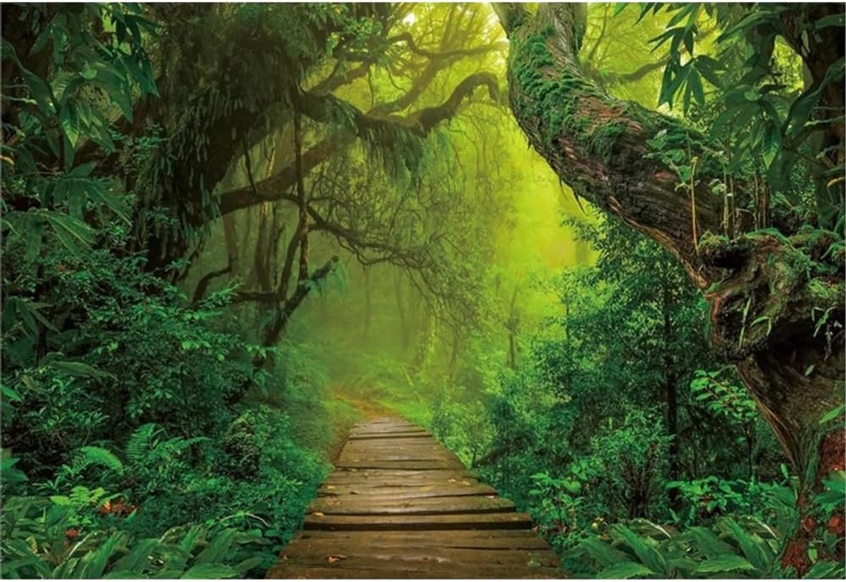 5x3ft Bos Achtergrond Lente Jungle Safari Natuurlijk Landschap Fotografie Achtergrond Jungle Regenwoud Bossen Oude Bomen Zonneschijn Achtergrond Volwassenen Kinderen Portret Fotostudio