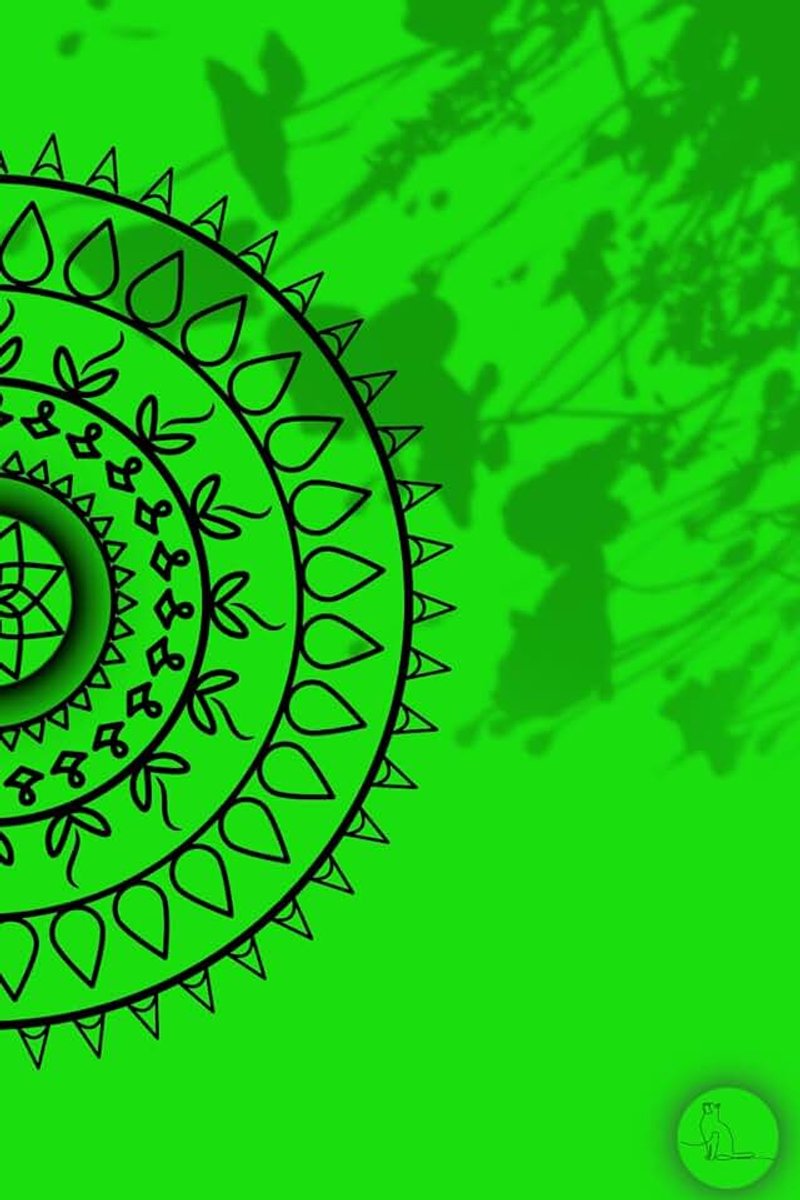 Con líneas, tamaño de 6" x 9"pulgadas, cuaderno con 100 páginas , color verde: El aliado perfecto para tus clases