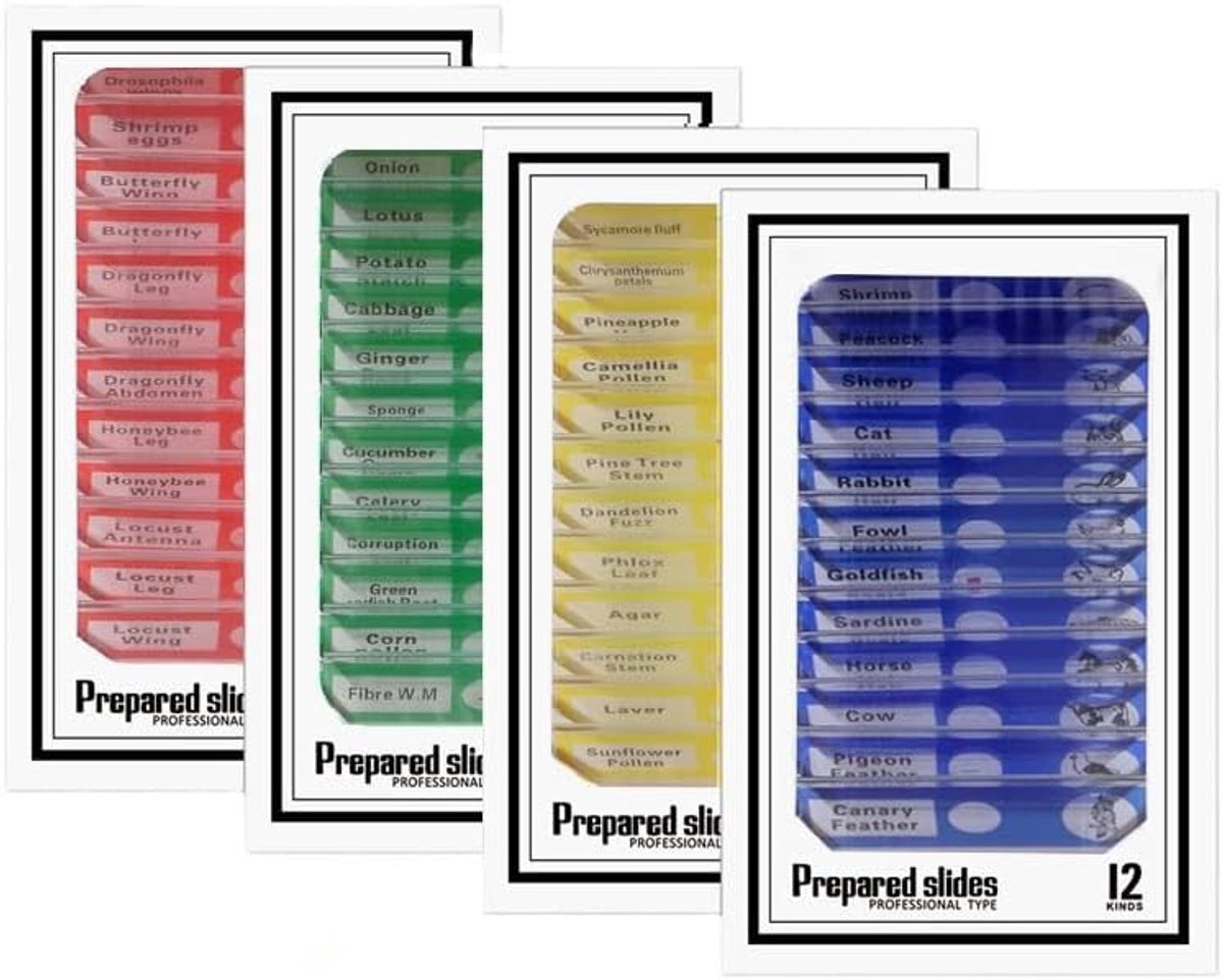 48 STKS Voorbereide Microscoop Slides Set, Slides voor Microscoop met Insecten Planten Dieren Monsters, Microscoop Specimen Slides
