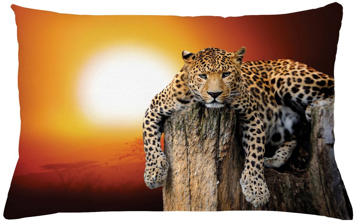 ABAKUHAUS Afrikaans Kussenhoes, Safari Leopard op Boom, Water- en Vuilafstotend, Wasbaar, Dubbelzijdige Print met Ritssluiting, 65 x 40 cm, Oranje en Bruin