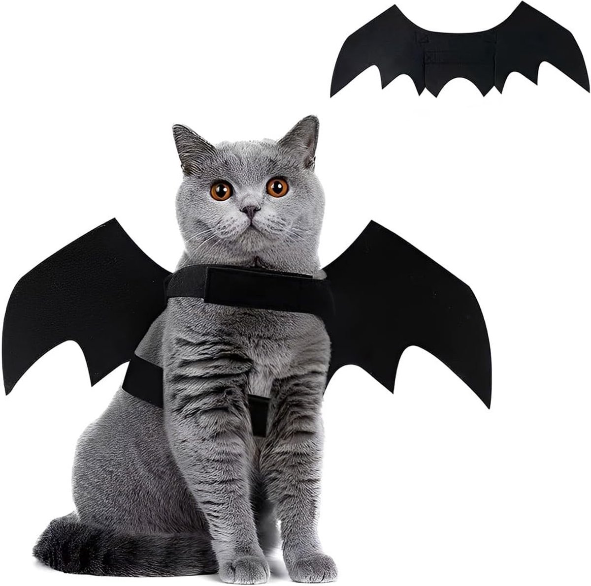 kostuum kat voor huisdier hond kat vleermuis vleugels vleermuiskostuum cosplay kat