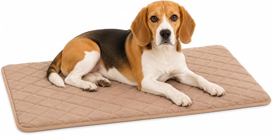 Beagle ligt op een beige orthopedisch hondenkussen met een gewatteerd ruitpatroon.
