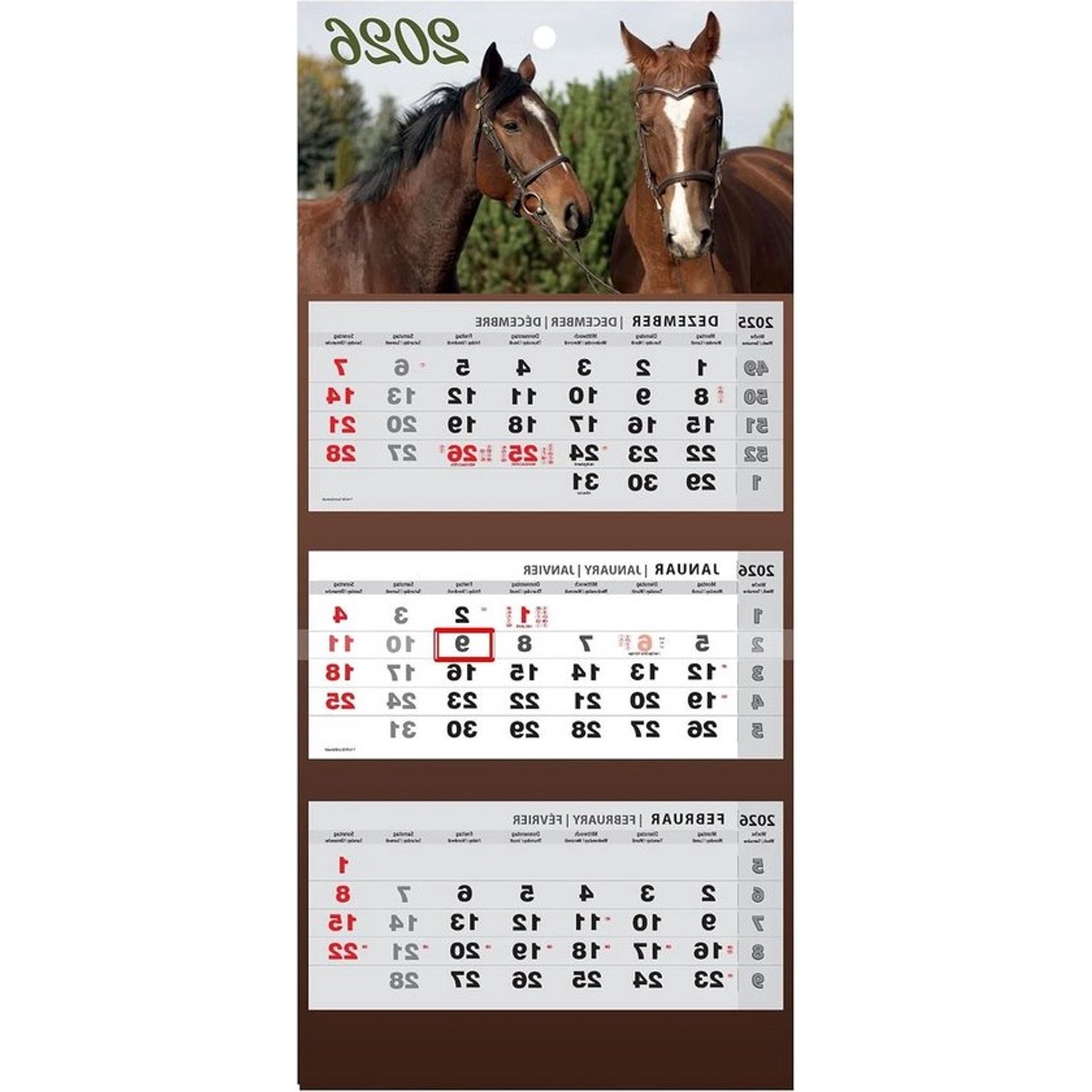 Wandkalender met drie maanden - Kalender als planner - Thuisplanning - Drie losse kalenders - 33 x 70 cm - Meerkleurig