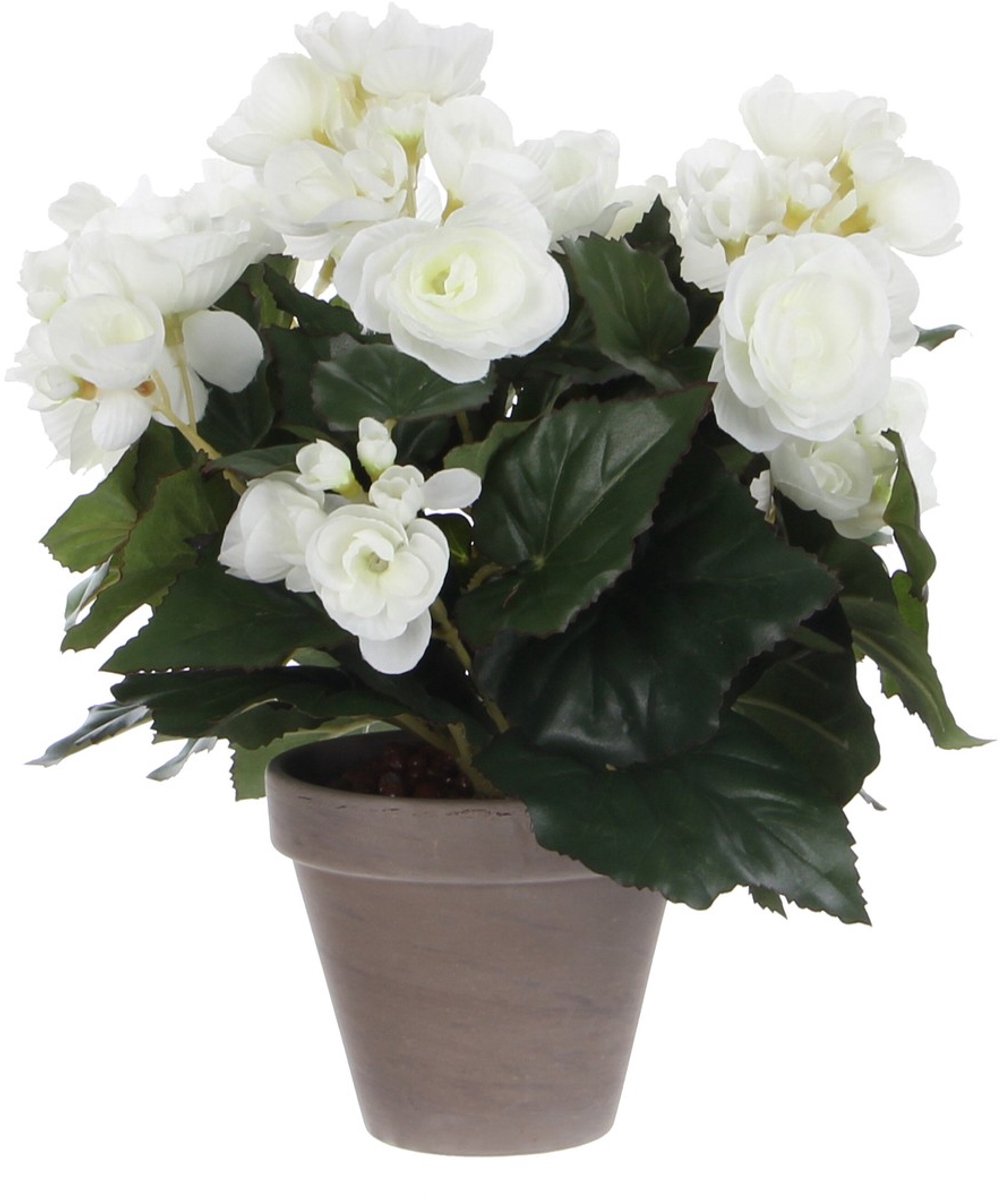 Mica Decorations Begonia Kunstplant in Bloempot Stan - H30 x Ø25 cm - Wit