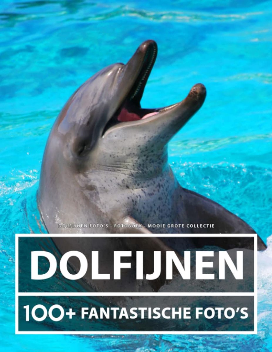 Dolfijnen Foto's - Fotoboek - Mooie Grote Collectie: 100+ Geweldige Afbeeldingen - Voor Kinderen En Volwassenen - ShopVlot