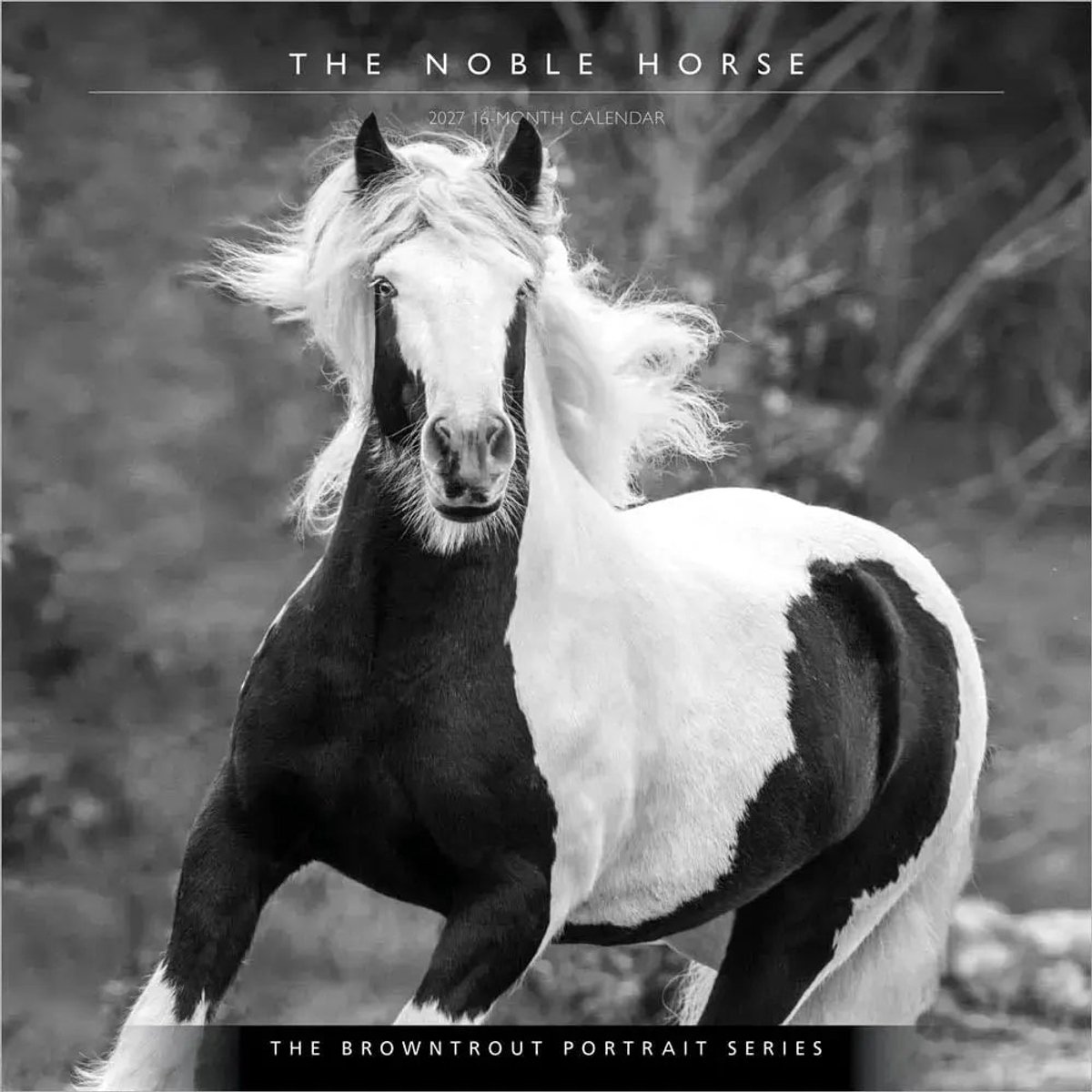 The Noble Horse Kalender 2027