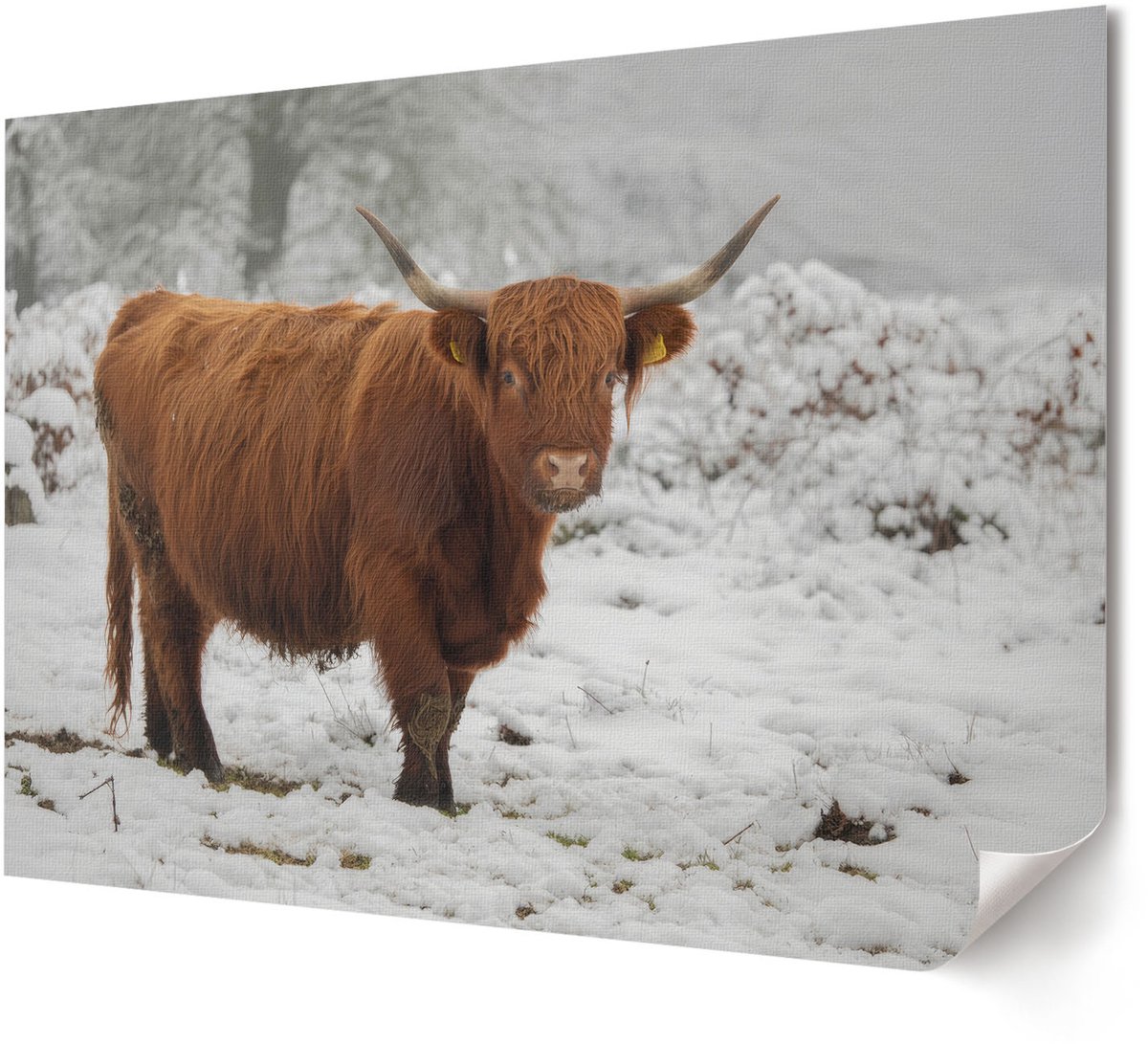 Coloray Polycanvas Poster - Wenteltrap, Fotografie - A4 - Zwart Illustratie - Rechthoek - Wandkunst - Woonkamer, Slaapkamer, Kantoor - Modern