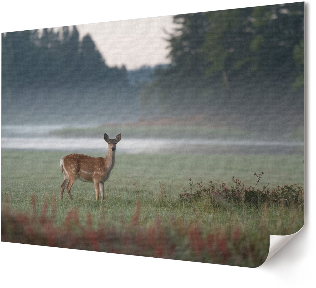 Coloray Polycanvas Wandposter - Retro Elegantie, Fotografie - A4 - Zwart-wit Decoratie - Rechthoek - Canvasposter - Woonkamer, Slaapkamer, Kantoor - Klassiek