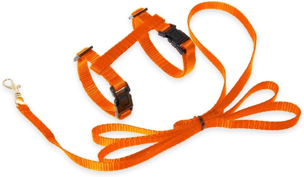 Katten Tuigje - Kattenlijn Set - Buiten Wandelen - Verstelbaar Design - 120 cm Lijn - Oranje