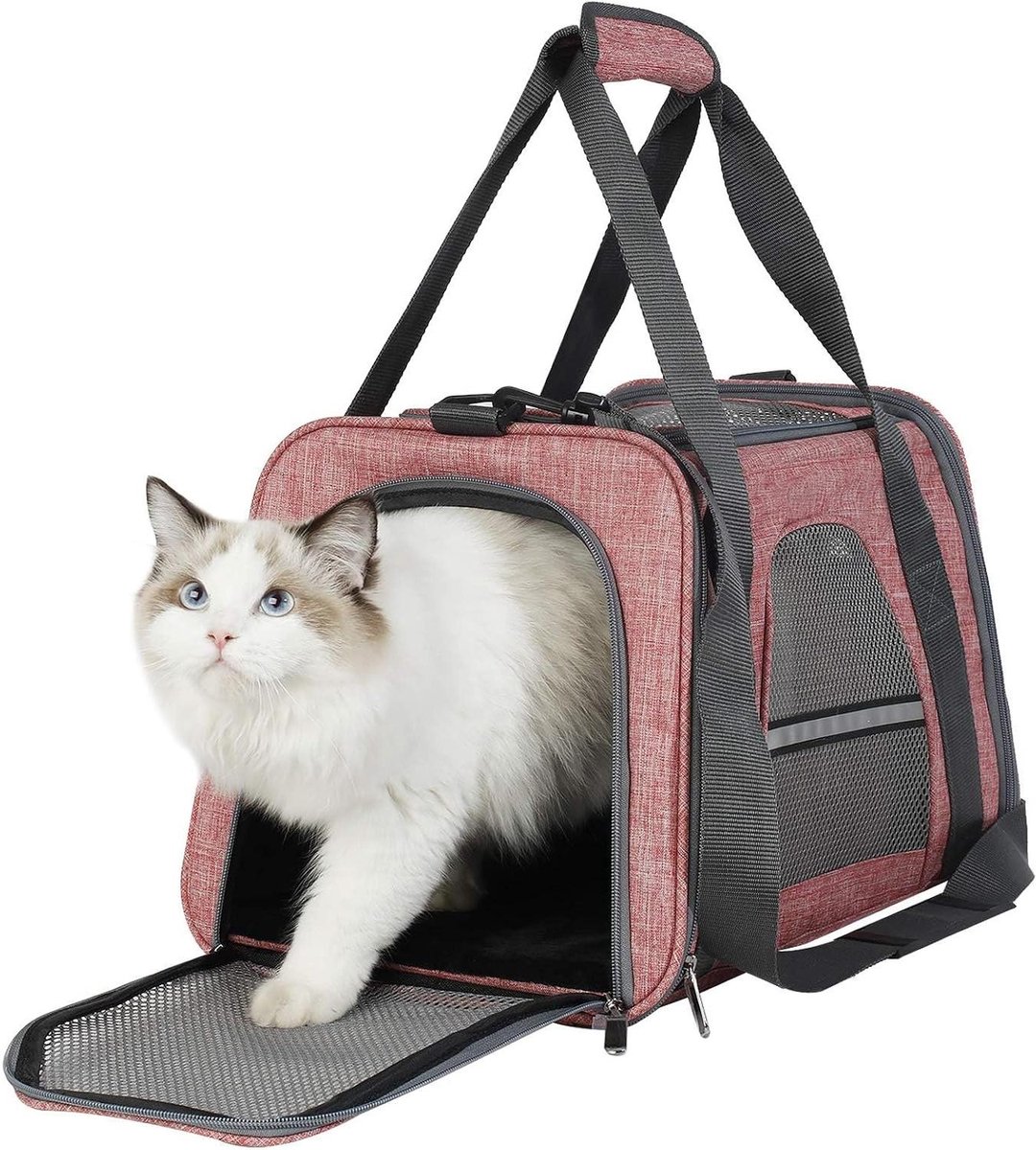 Dieren Transportbox - Reismand Kat Hond - Veilig Vervoer - Opvouwbaar Lichtgewicht - 15.2 x 10.4 x 7.5 cm - Rood