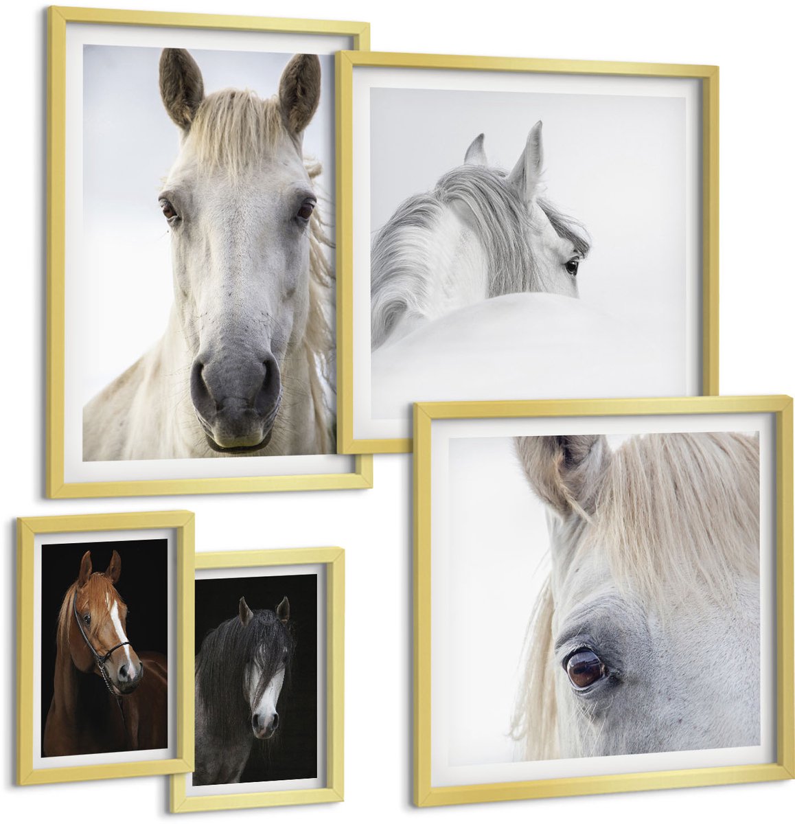 Coloray 5-Delige Schilderij Set - Paardenportretten In Diverse Perspectieven En Artistieke Stijlen. - 50 x 50 cm, 20 x 30 cm En 40 x 60 cm - Decoratieve Muurdecoratie - Slaapkamer - Stijlvolle Muurdecoratie