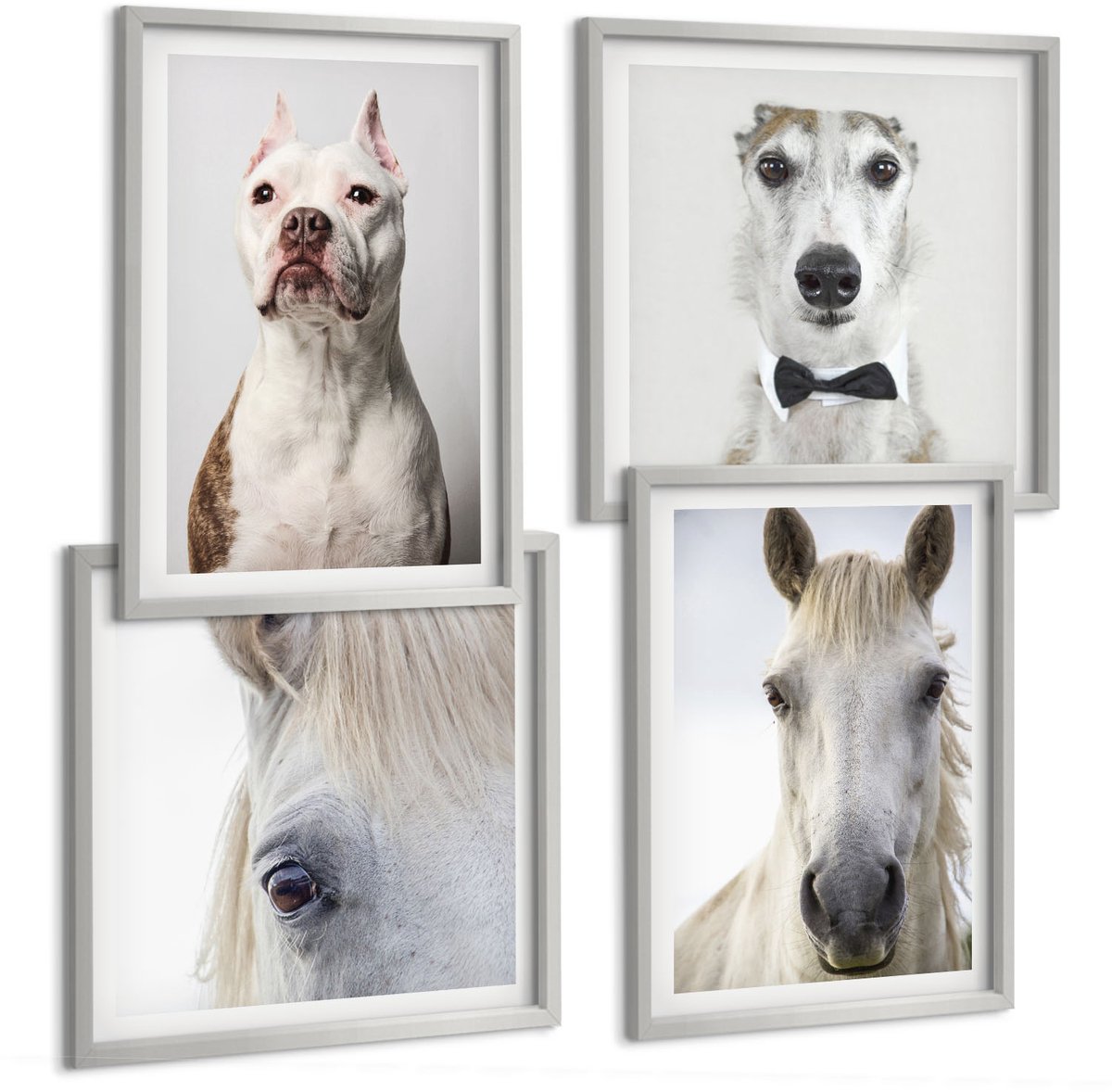 Coloray 4-Delige Schilderij Set - Interessante Portretten Van Honden En Paarden In Een Elegante Stijl. - 40 x 40 cm En 40 x 60 cm - Stijlvolle Muurdecoratie - Slaapkamer