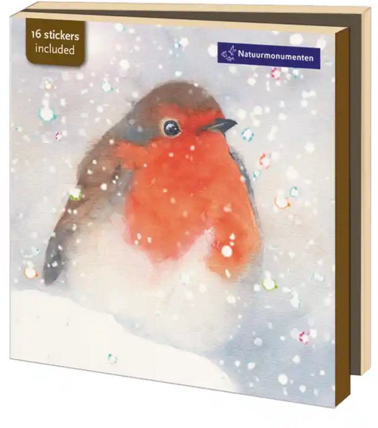 Bekking & Blitz - Kaartenmapje Kerst - Set wenskaarten Kerst - Museumkaarten - Kunstkaarten - 10 stuks - Inclusief enveloppen - Wintervogels - Vogelbescherming