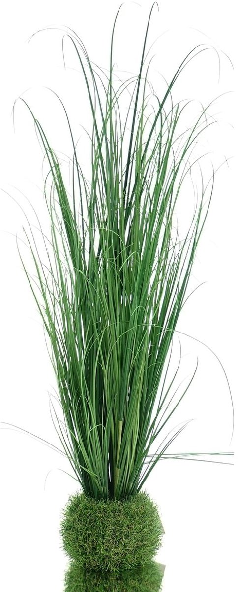 DPI Gras dat uit een grasbol ontspringt 80 cm - kunstplant