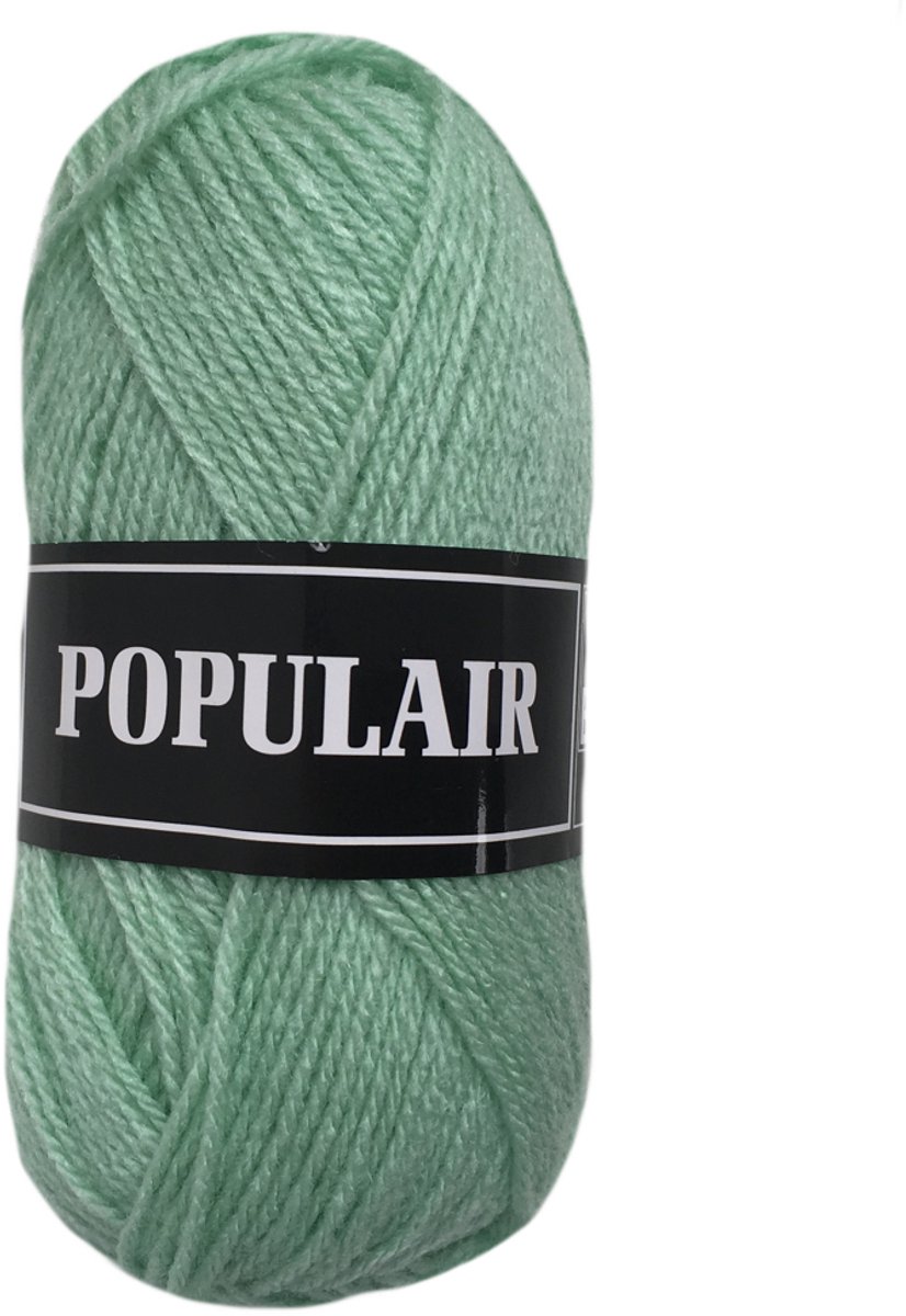 Beijer Populair acryl garen - mint (98) - 1 bol haakgaren/breigaren - naald 3,5 a 4mm