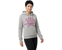 Superdry - MFG Original Metallic Hoodie - Dames - Hoodies