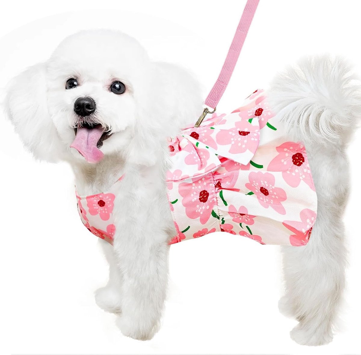 Schattige Hondenjurk met Leash en Harnas voor Kleine en Middelgrote Honden - Prinsessenstijl met Strik