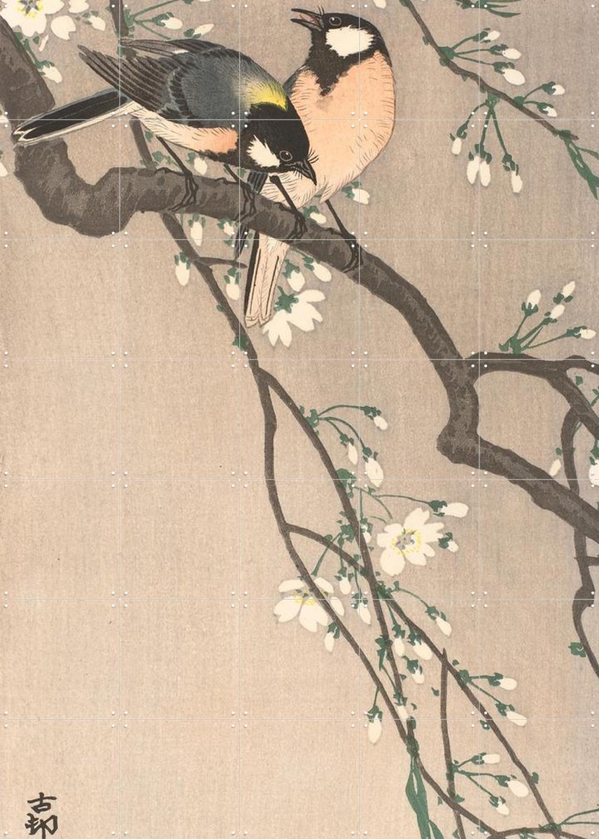 IXXI Koolmezen op bloesemtak, Ohara Koson & Rijksmuseum - 100 x 140 cm - Gratis ophangtool - Grote wanddecoratie en posters - Houtsnede, Ukiyo-e