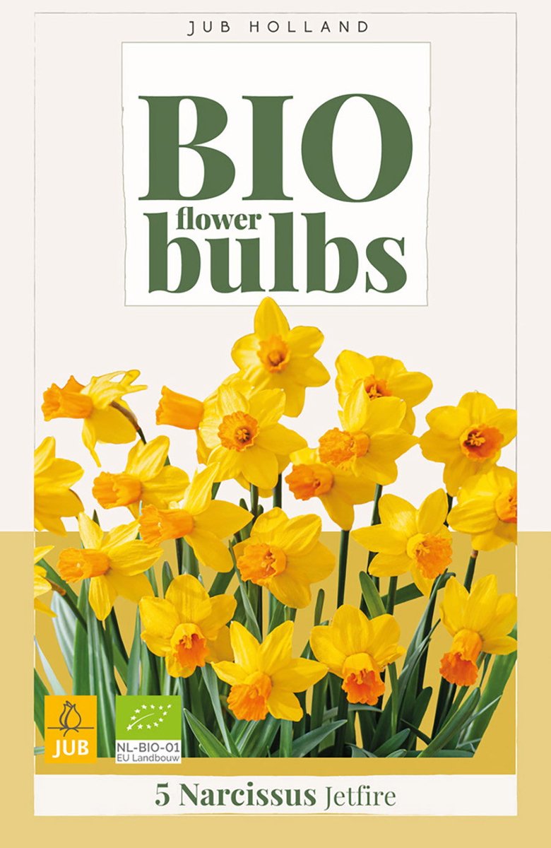 Narcissus jetfire bio bloembol JUB 5 stuks