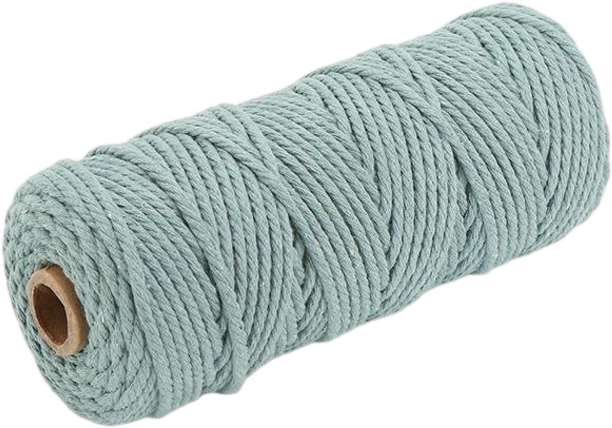 Macramétouw 3 mm x 100 m, natuurlijk katoenen draad voor wanddecoratie, plantenhangers, boho-decoratie,Azië Blauw