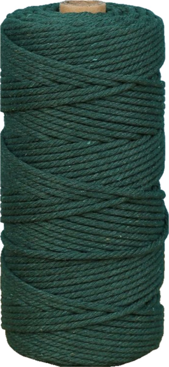 Macramétouw 3 mm x 100 m, natuurlijk katoenen draad voor wanddecoratie, plantenhangers, boho-decoratie,Donkergroen