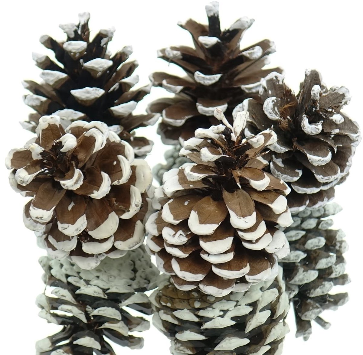 Kaemingk Kerstdecoratie Dennenappels Naturel Wit 5 Stuks