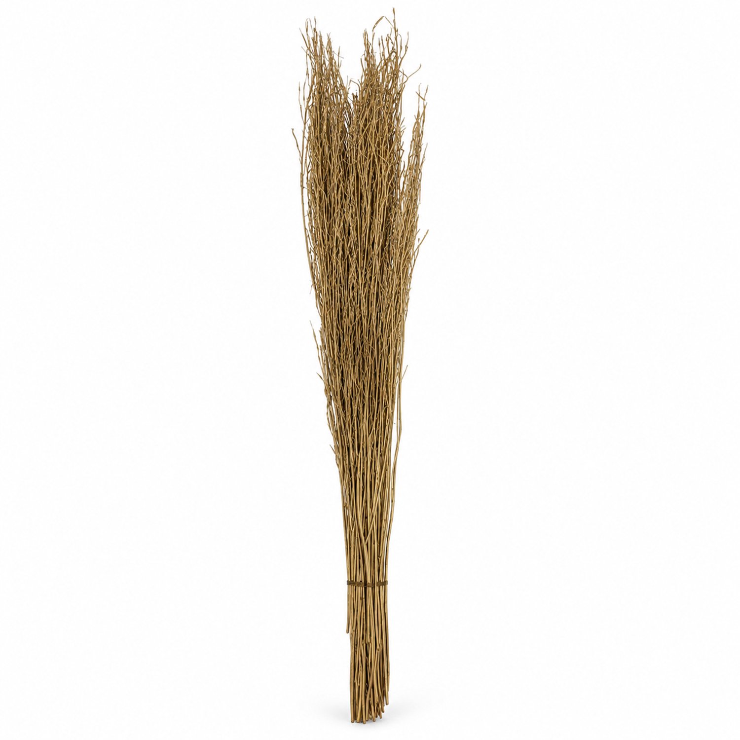 Benza – Gedroogd Saras Gras – 100 g – 100 cm – Goud – Decoratief Drooggras – Droogbloemen Decoratie