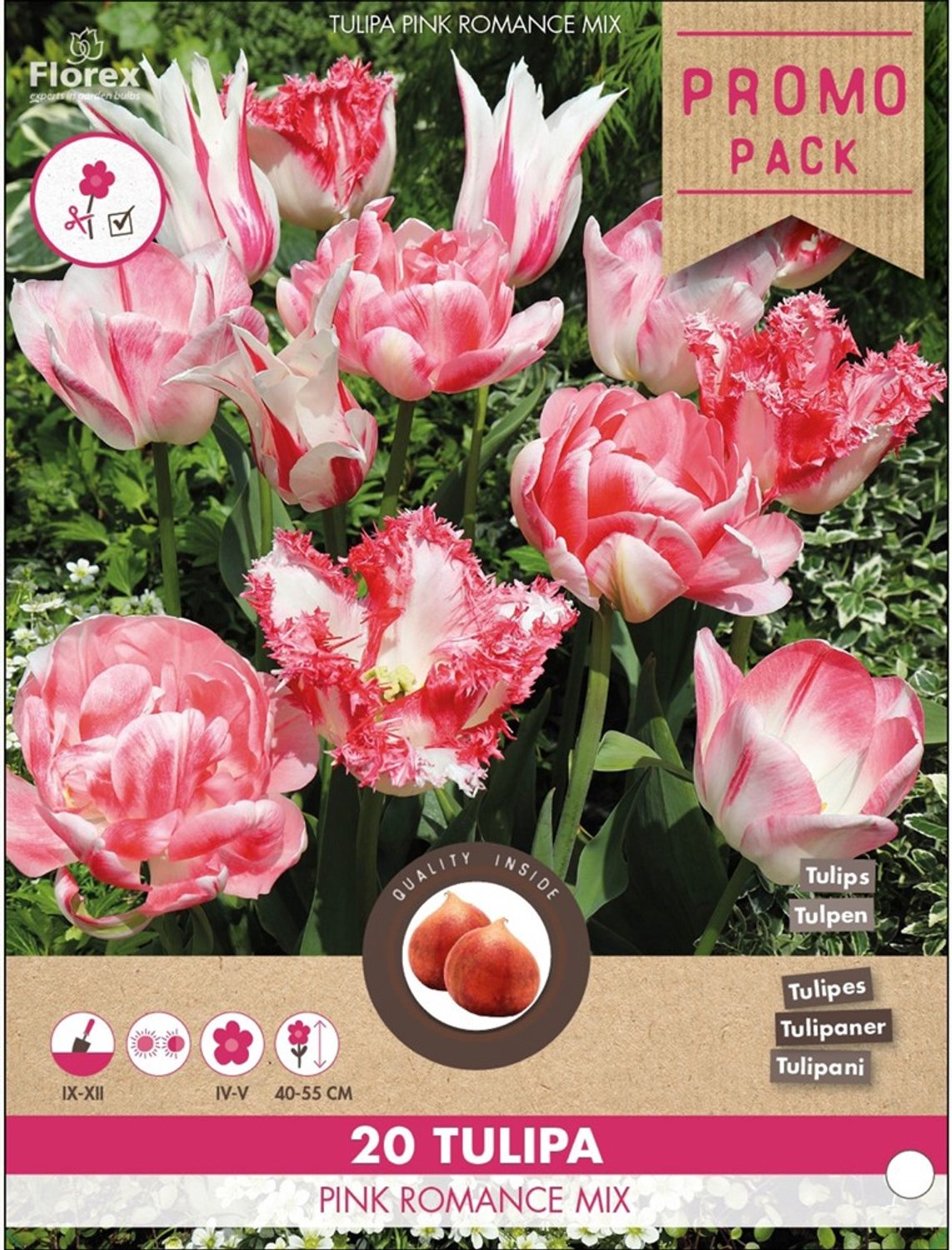 Tulp (Tulipa) - Pink Romance Mix - Snijbloemen - Voorjaarsbollen - bloeit in April / Mei