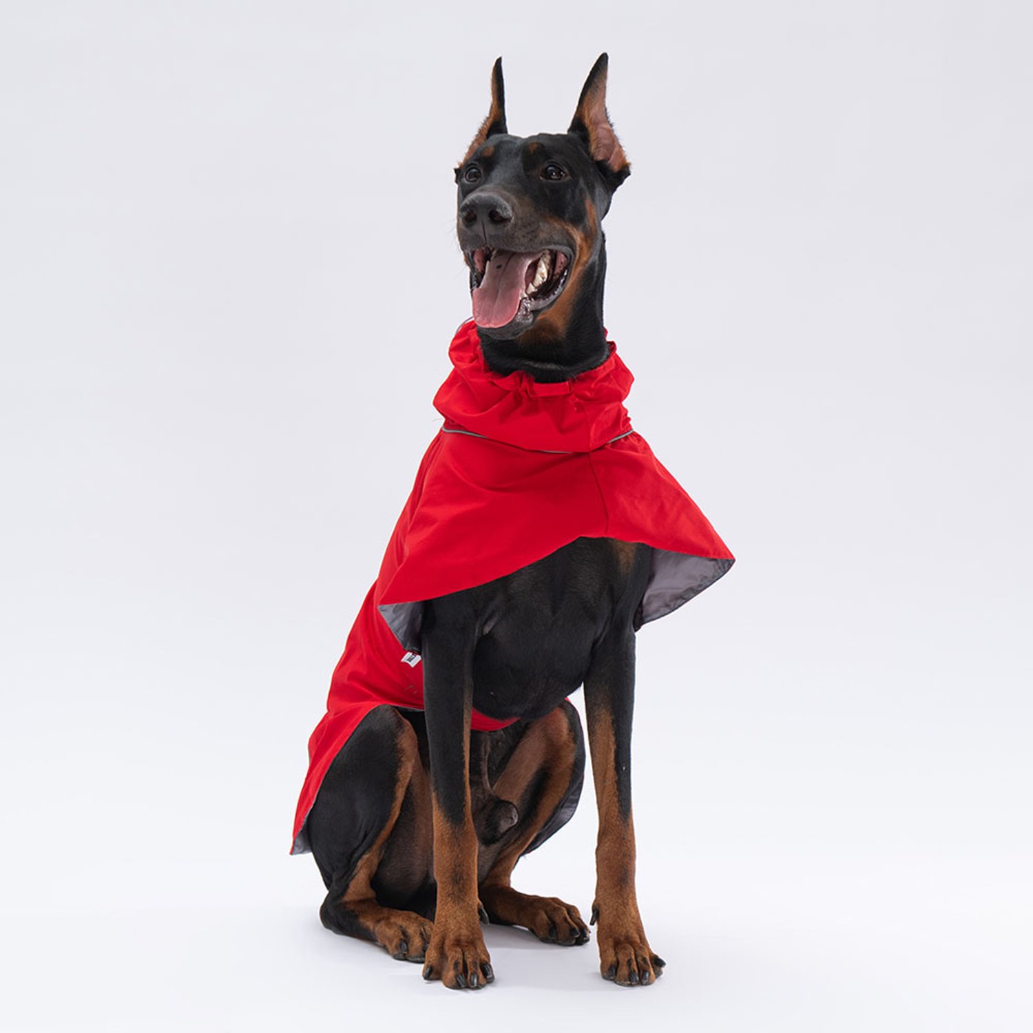 Pawstar Colombia - Hondenregenjas - Rood - L