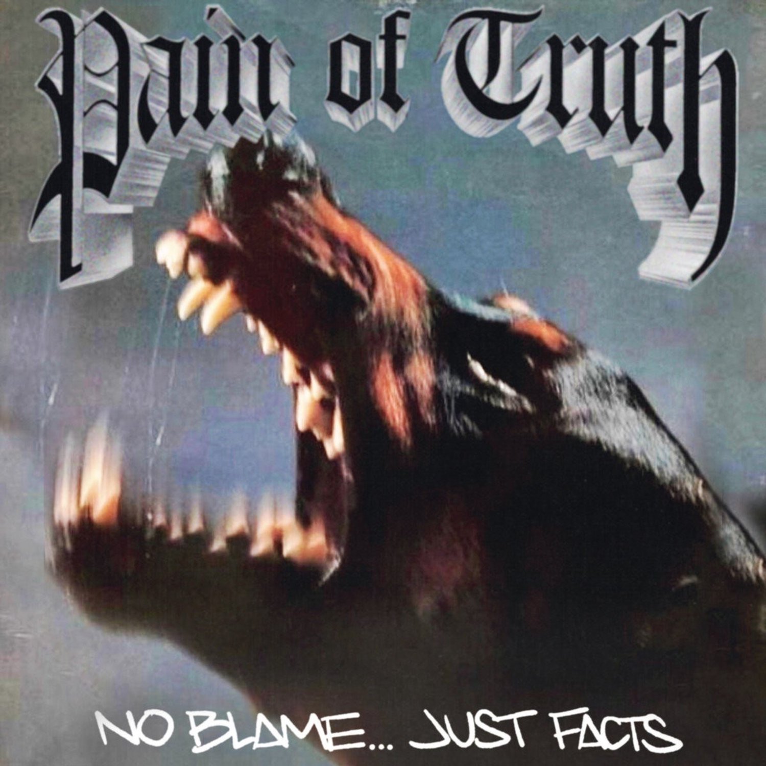 Pain Of Truth - No Blame Just Facts (LP)