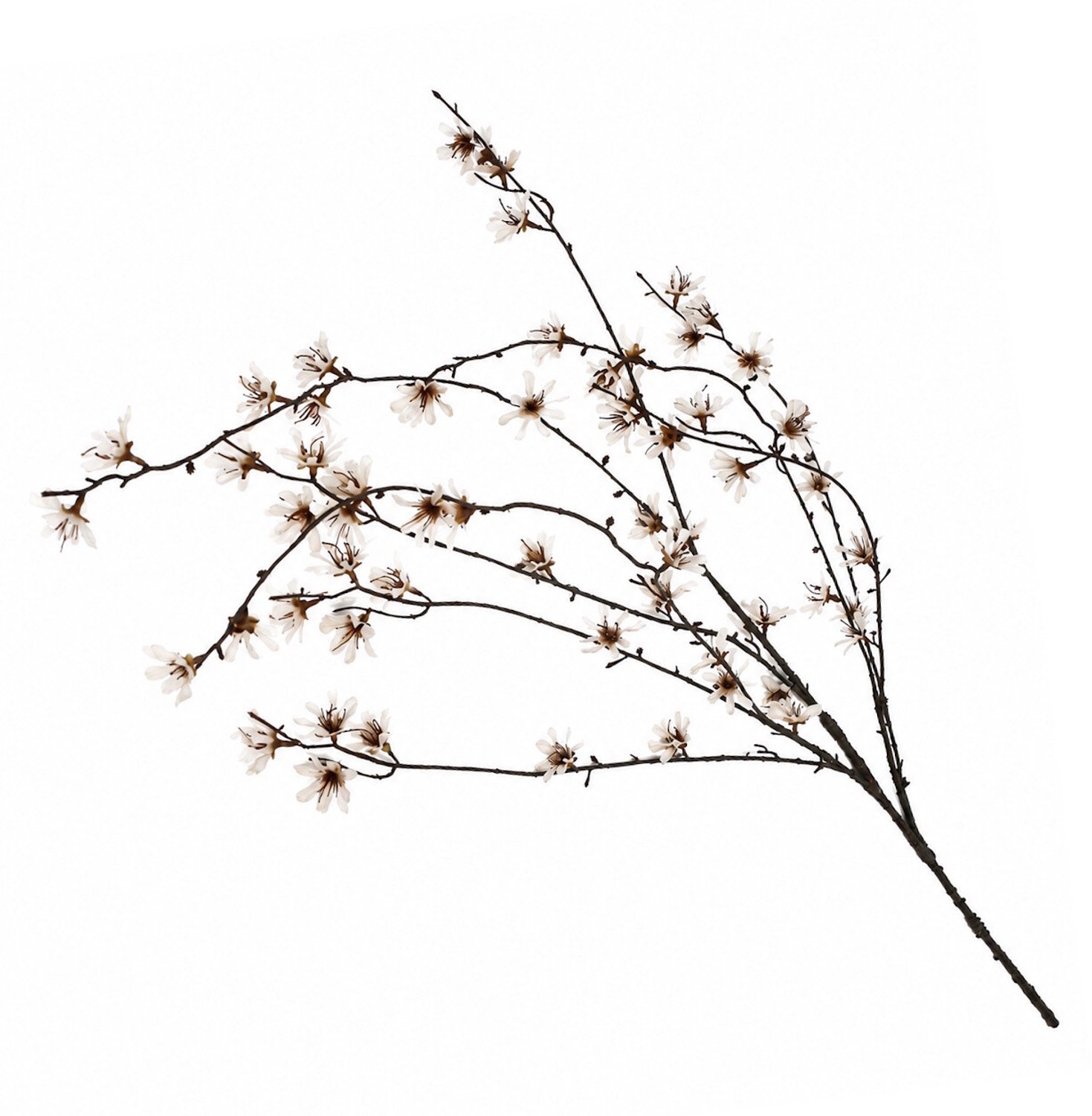 Pruimenbloesemtak 124cm off-white