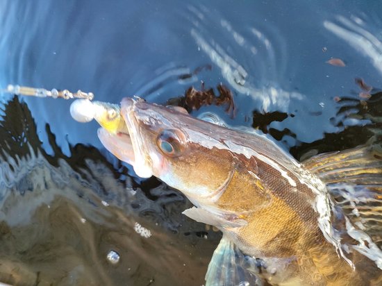 Savage Gear 4D Herring Shad 13cm Firetiger - Kunstaas voor Snoek & Baars — afbeelding 2