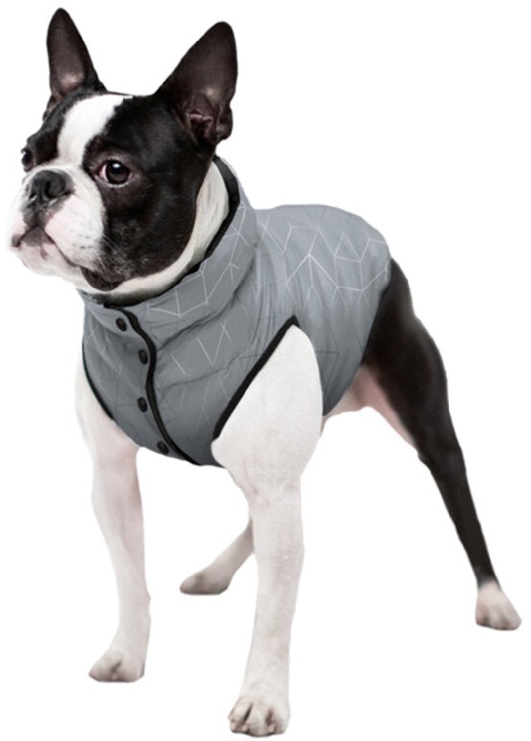 WAUDOG Clothes - Reflecterende hondenjas - Maat M50 - rug 45-50 cm