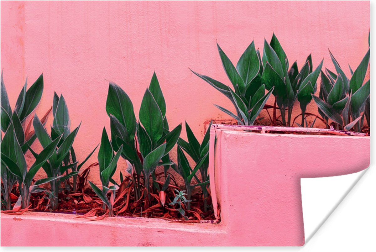 Poster 90x60 cm - Planten - Zomer - Verf - Posters - Kamer decoratie - Wanddecoratie woonk