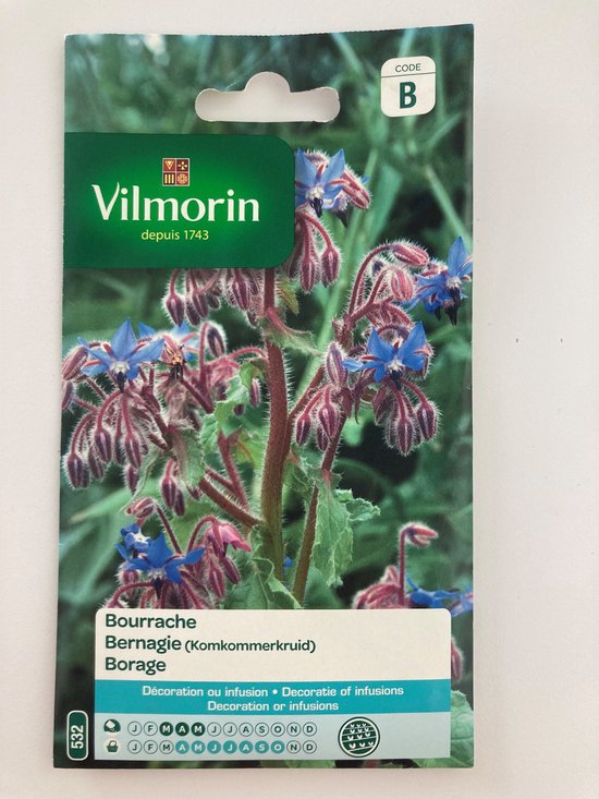 Vilmorin- Bernagie- komkommerkruid- V532