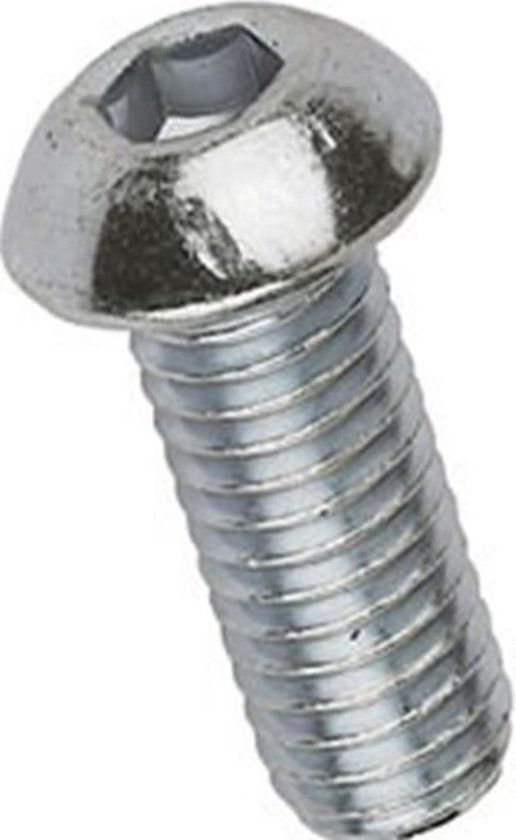 Harpsluiting met binnenzeskant 4 mm RVS-316