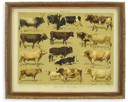 wanddecoratie - schilderij - koeien