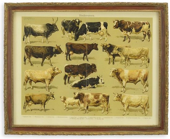 wanddecoratie - schilderij - koeien