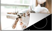 KitchenYeah® Inductie beschermer 78x52 cm - Slapende katten op een krabpaal - Kookplaataccessoires - Afdekplaat voor kookplaat - Inductiebeschermer - Inductiemat - Inductieplaat mat