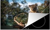 KitchenYeah® Inductie beschermer 80x52 cm - Koala - Eucalyptus - Australië - Kookplaataccessoires - Afdekplaat voor kookplaat - Inductiebeschermer - Inductiemat - Inductieplaat mat