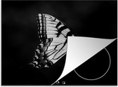 KitchenYeah® Inductie beschermer 60x52 cm - Papilio glaucus vlinder op een vlinderstruik - zwart wit - Kookplaataccessoires - Afdekplaat voor kookplaat - Inductiebeschermer - Inductiemat - Inductieplaat mat