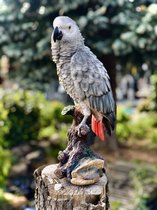 Grijze roodstaart papegaai levensecht 38 cm hoog - polyester - polystone - beeld - tuinbeeld - hoogkwalitatieve kunststof - decoratiefiguur - interieur - accessoire - voor binnen - voor buiten - cadeau - geschenk