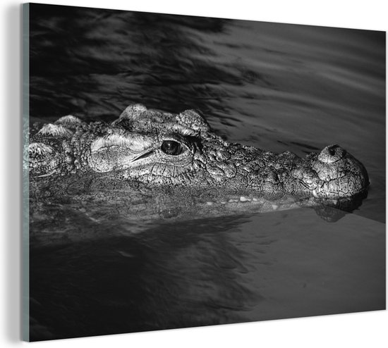 MuchoWow Peinture sur Verre Crocodile d Afrique du Sud Noir