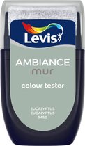 Levis Ambiance Mur Colour Tester - 30ML - 5450 - Eucalyptus
