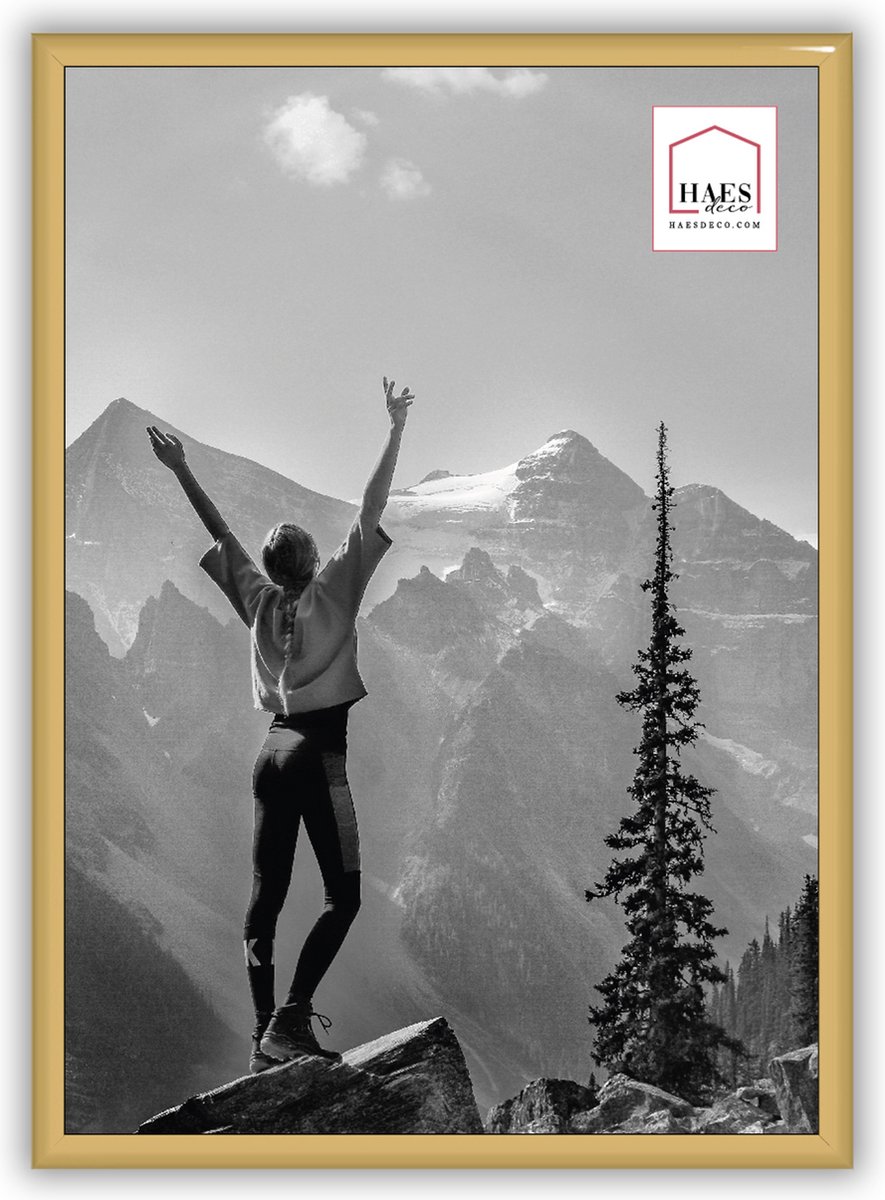 HAES DECO - Kunststof fotolijst A4 / 21x29,7 goud Easy Frame - EF11G