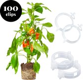 Plantenclips - 28 mm - Transparant - 100 stuks - Tomatenplanten - Moestuin