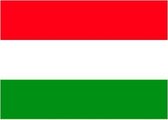 10x Binnen en buiten stickers Hongarije 10 cm - Hongaarse vlag stickers - Supporter feestartikelen - Landen decoratie en versieringen