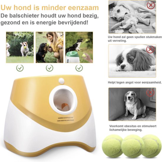 Nieuwe Aanlijnplicht Voor Honden In Franse Bossen: Forse Boetes Bij Loslopen Vanaf 15 April