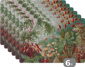 Placemat - Placemats kunststof - Bloemen - Kunst - Vintage - Natuur - Botanisch - 45x30 cm - 6 stuks - Hittebestendig - Anti-Slip - Onderlegger - Afneembaar